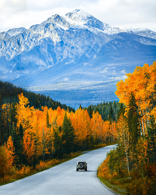 fall scenery | LightHouse Automotive